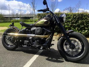 HD Slim Eagle 1950 Borie