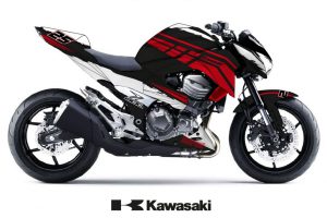 Z 800 Akrapovic