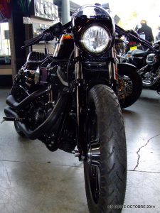 Harley Dyna AMF Metal Flakes